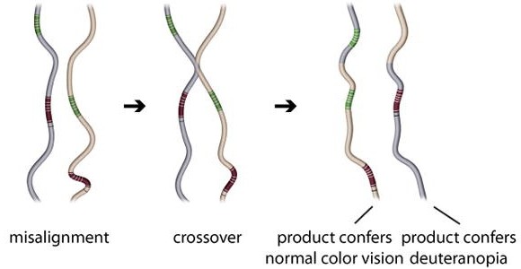 example-A.jpg