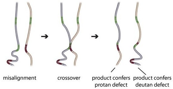example-C.jpg